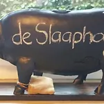 Alojamento de Turismo Rural Ferienbauernhof De Slaaphoeve *
