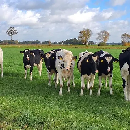 Ferienbauernhof De Slaaphoeve Emlichheim
