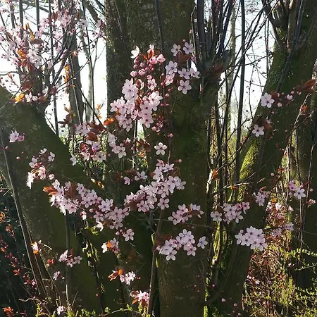 Ferienbauernhof De Slaaphoeve Bauernhof *