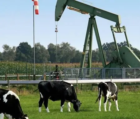 Ferienbauernhof De Slaaphoeve Bauernhof Emlichheim