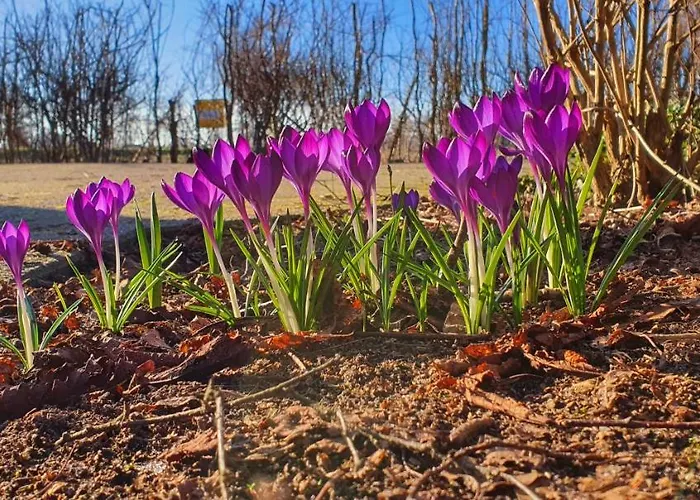 Ferienbauernhof De Slaaphoeve Фермерский дом