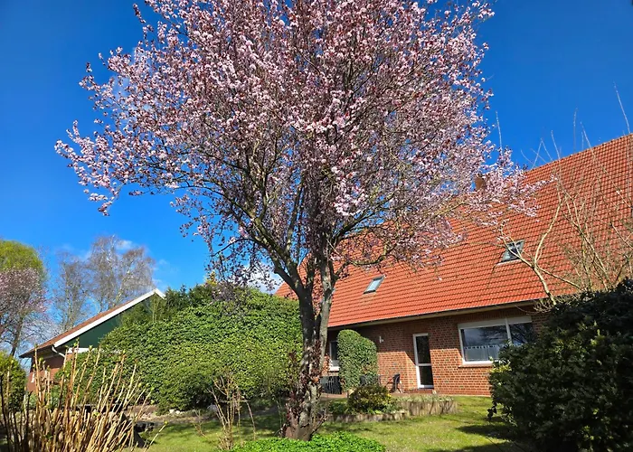 Ferienbauernhof De Slaaphoeve *