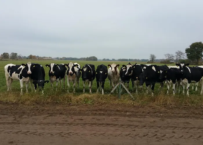 Ferienbauernhof De Slaaphoeve Фермерский дом