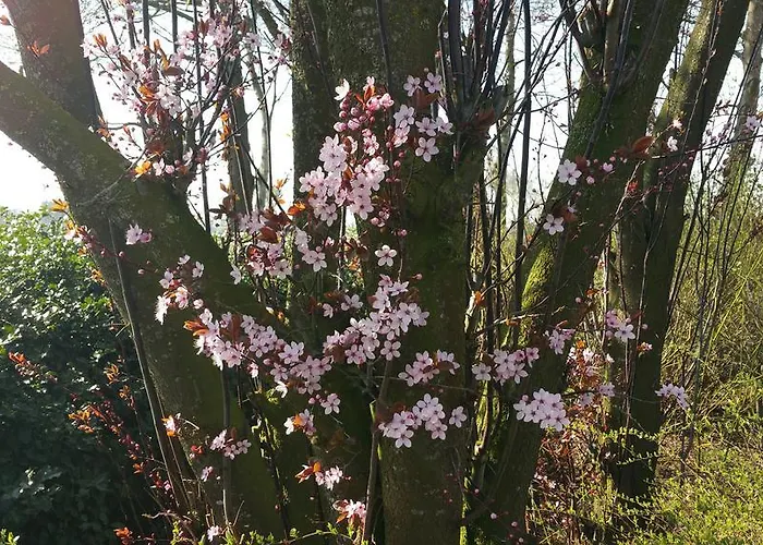 Ferienbauernhof De Slaaphoeve Фермерский дом *