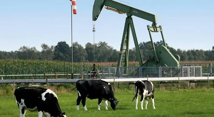 Ferienbauernhof De Slaaphoeve Фермерский дом Emlichheim